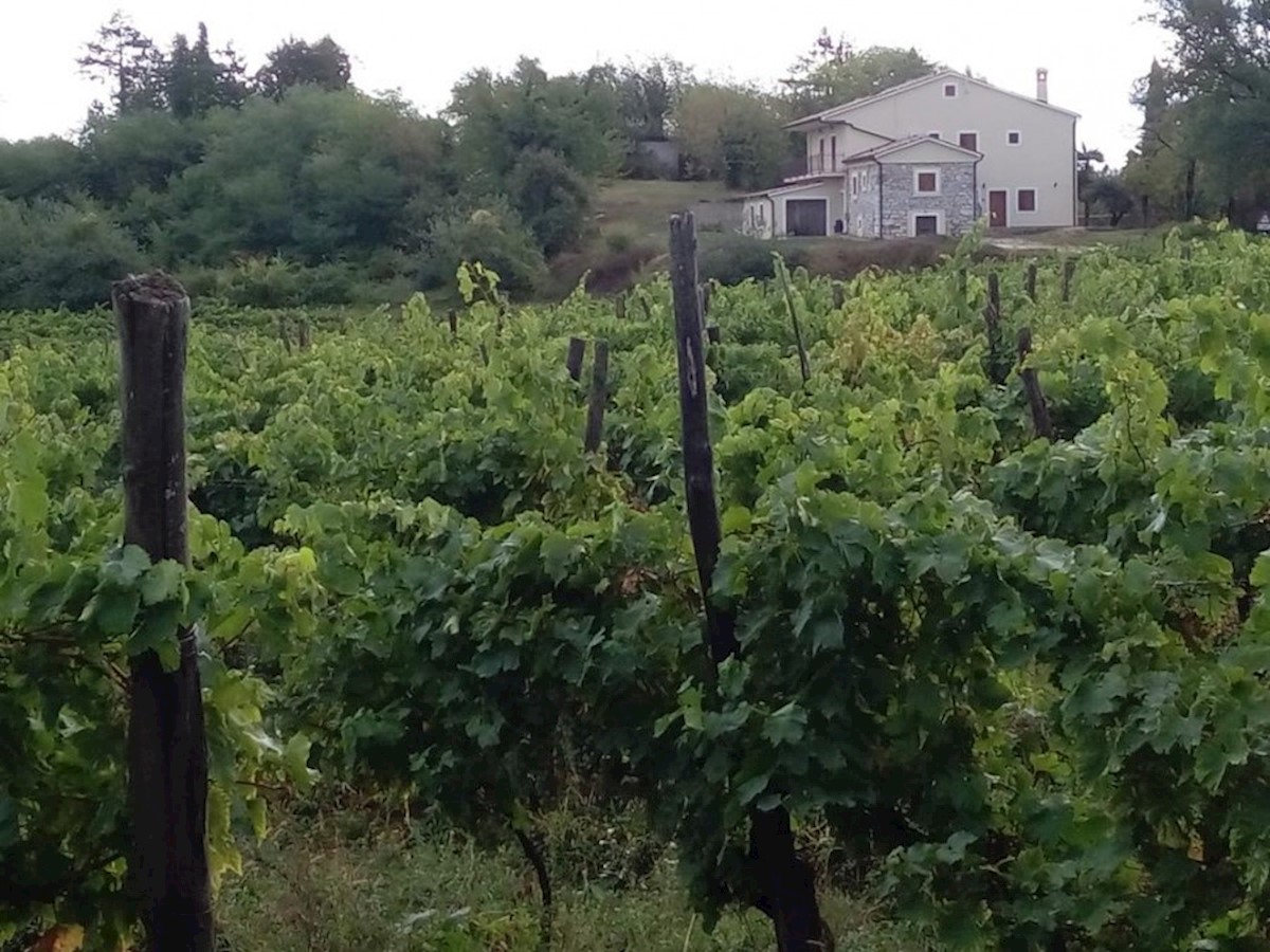 Kuća Na prodaju - ISTARSKA  PAZIN 