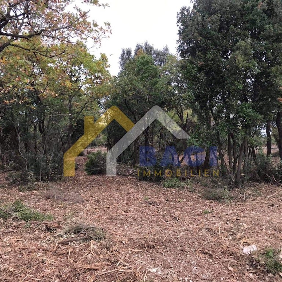 Terreno In vendita - ISTARSKA  ROVINJ 