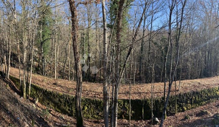 Land For sale - Primorsko-goranska Matulji - foto 2/2