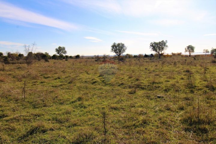 Pozemok na predaj 3000 m² – Bale