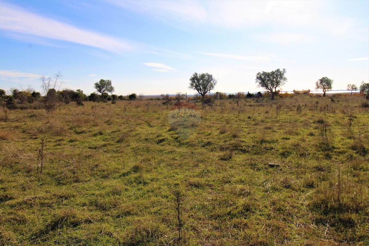 Terreno In vendita BALE