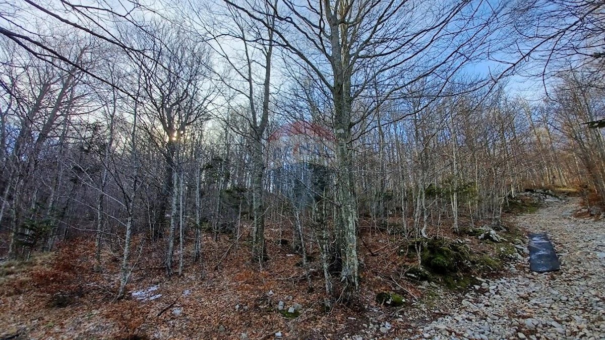 Zemljište Na prodaju - Primorsko-goranska Vinodolska Općina - foto 2/2