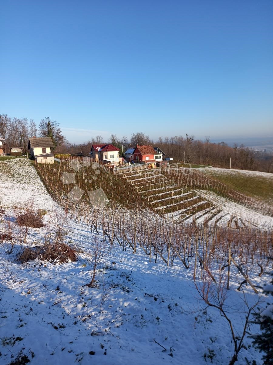 Haus Zu verkaufen - VARAŽDINSKA  VINICA 