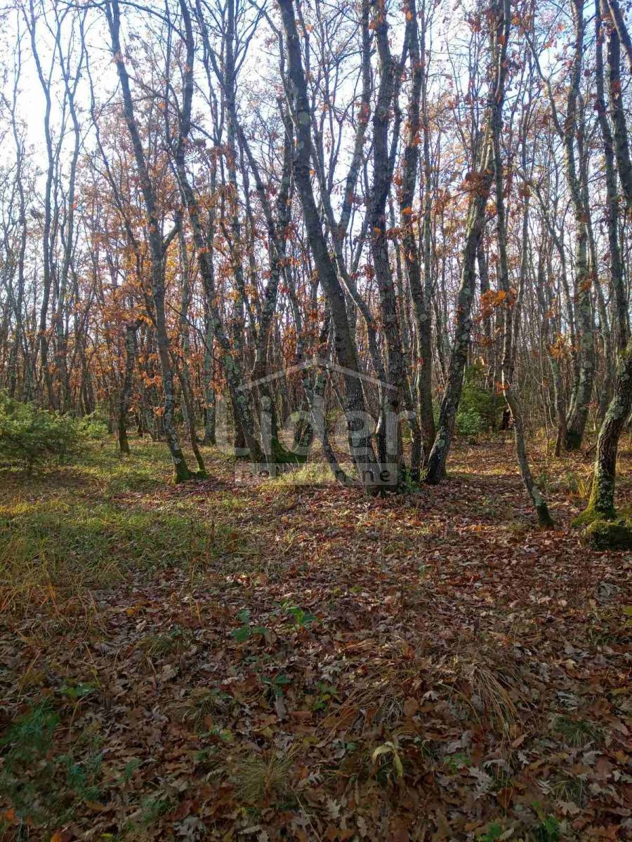 Pozemok Na predaj - ISTARSKA  VODNJAN 