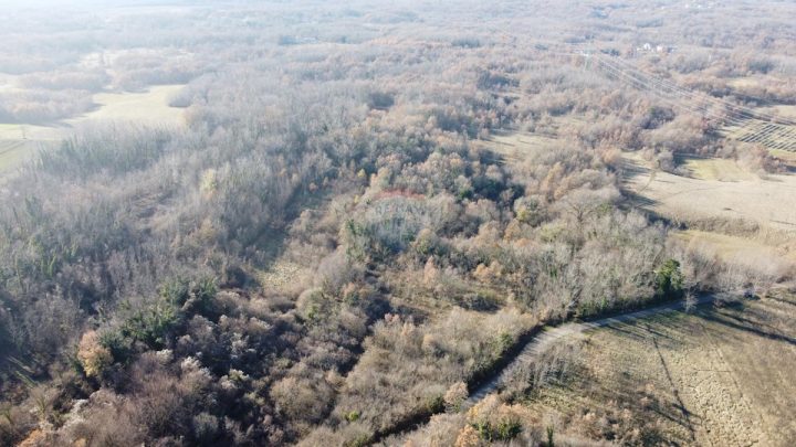 Terrain À vendre - Istarska Sveta Nedelja - foto 2/2