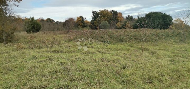 Zemljište na prodaju 11273 m² – Valtura