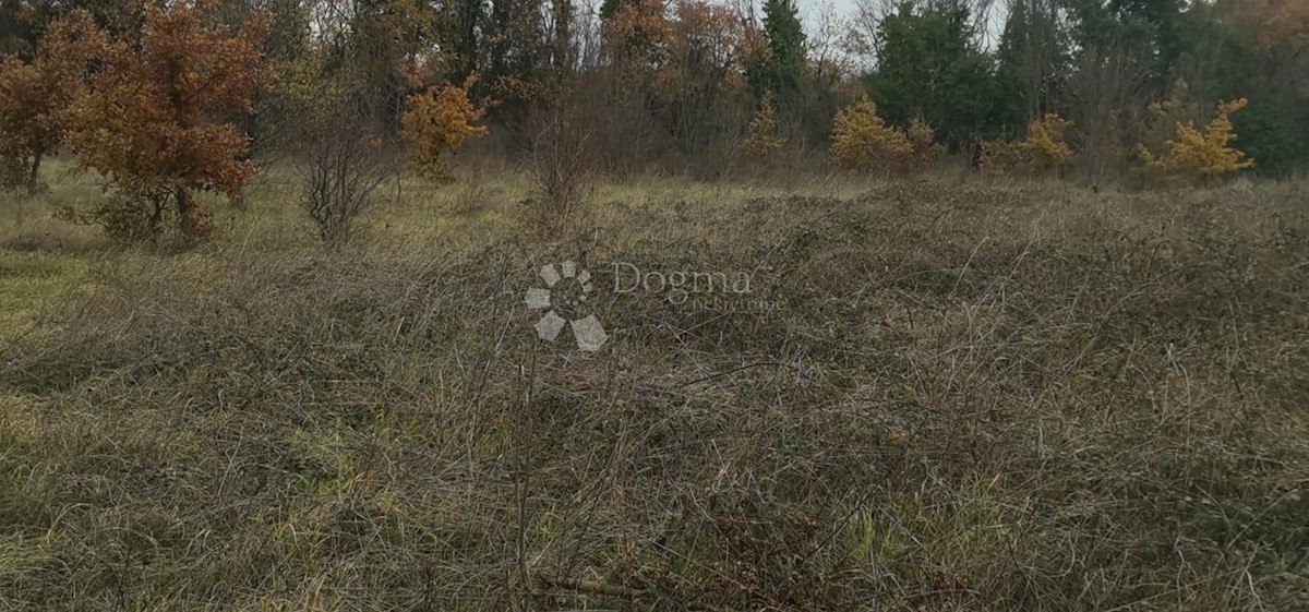 Pozemek Na prodej - ISTARSKA  LIŽNJAN 