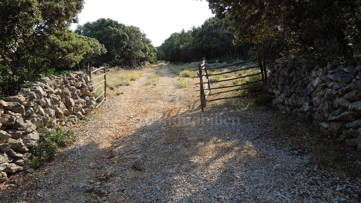 Land For sale - PRIMORSKO-GORANSKA  MALI LOŠINJ 