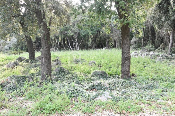 Parcela Naprodaj - Dubrovačko-neretvanska Konavle - foto 2/8