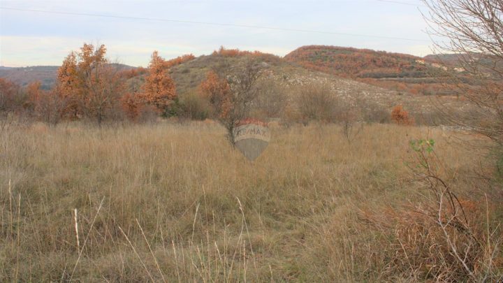 Pozemok na predaj 8039 m² – Momjan