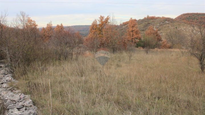 Terreno In vendita - Istarska Buje - foto 3/7