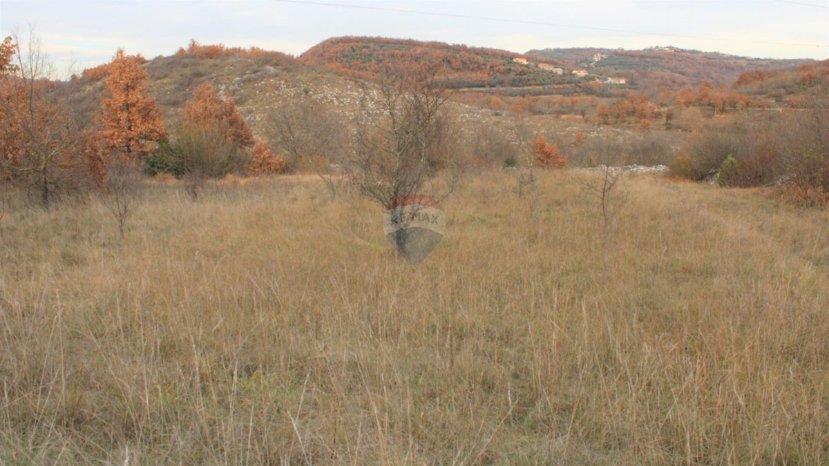 Zemljište Na prodaju - ISTARSKA BUJE