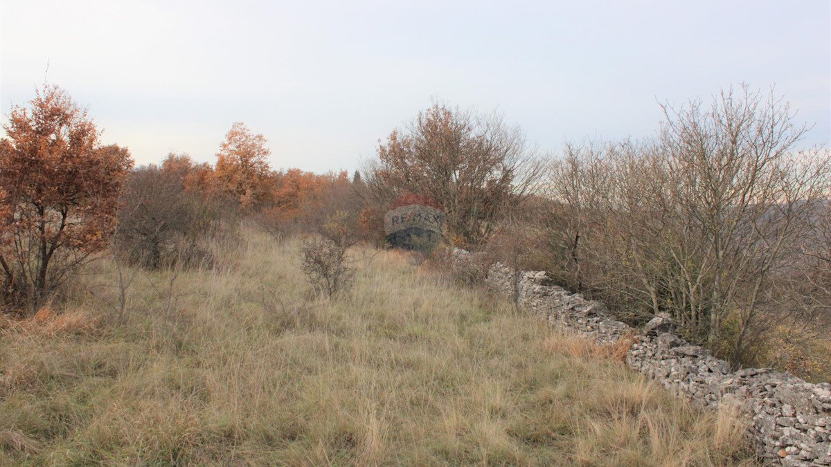 Zemljište Na prodaju - ISTARSKA BUJE