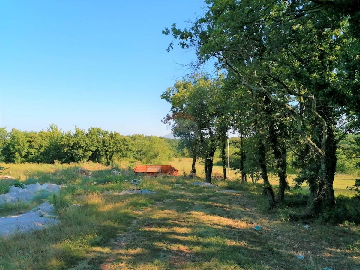 Zemljište Na prodaju - ISTARSKA  TINJAN 