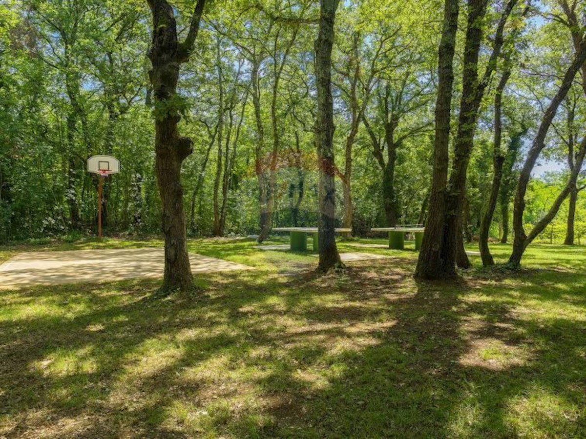Komerční Na prodej - ISTARSKA  Tinjan