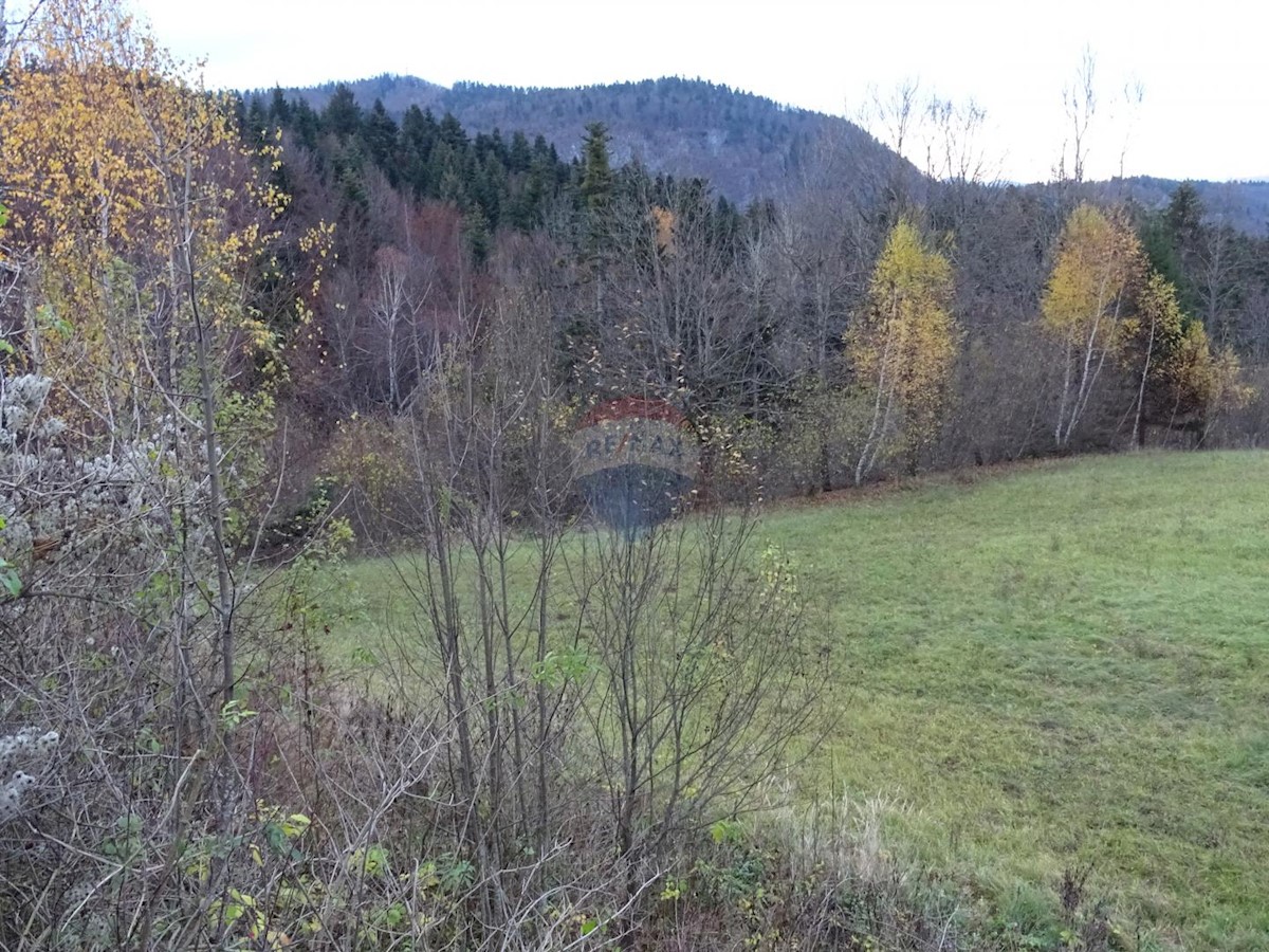 Grundstück Zu verkaufen - PRIMORSKO-GORANSKA  RAVNA GORA 