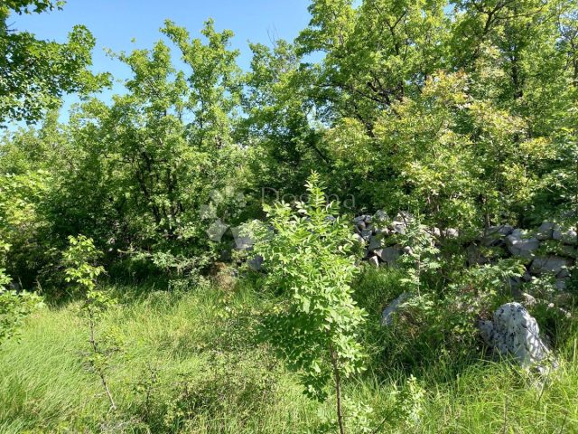 Land for sale 4381 m² – Dobrinj