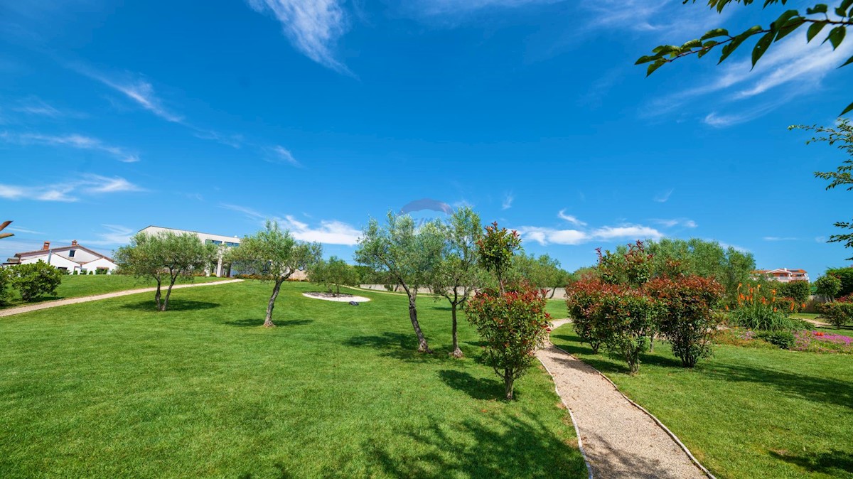 Kuća Na prodaju - ISTARSKA UMAG