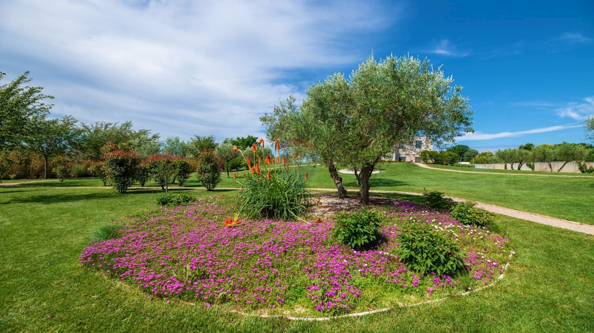 Kuća Na prodaju - ISTARSKA UMAG