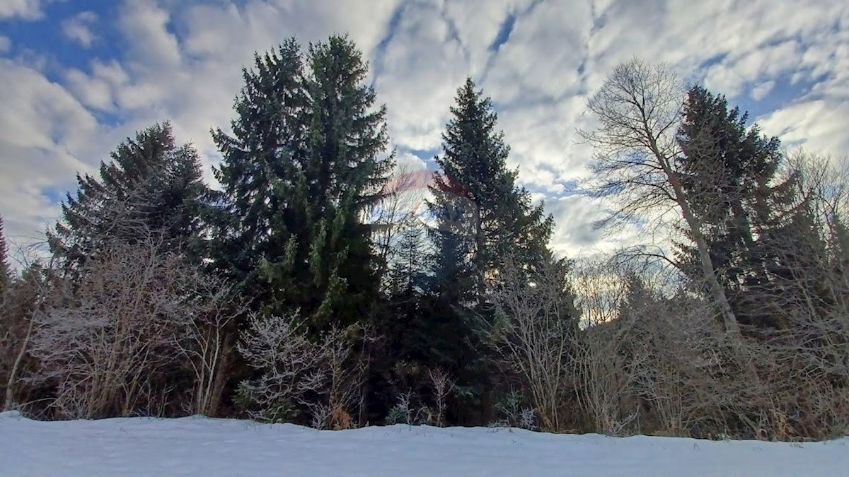 Terreno In vendita - PRIMORSKO-GORANSKA  RAVNA GORA 