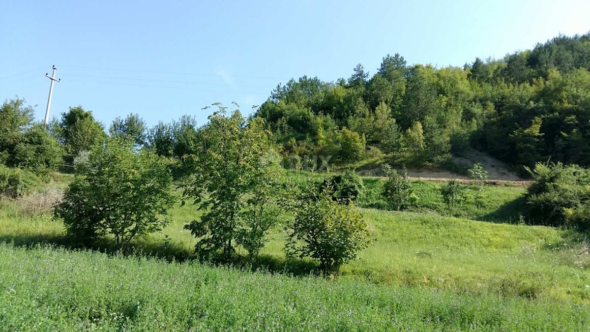 Pozemok Na predaj - ISTARSKA  PAZIN 