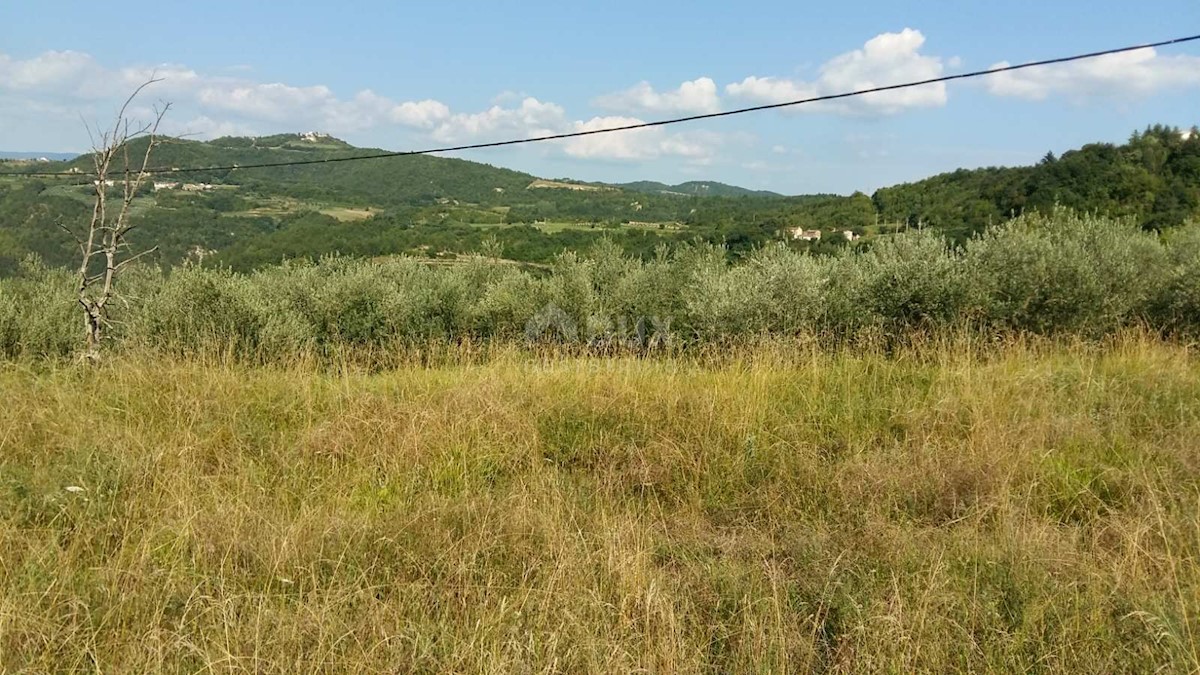 Land For sale - ISTARSKA  PAZIN 