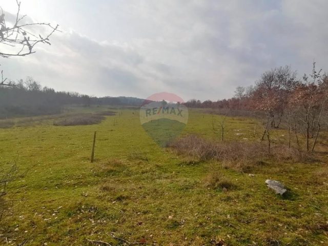 Grundstück Zu verkaufen - Istarska Poreč - foto 2/2