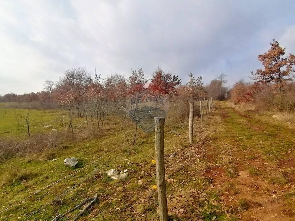 Land For sale - ISTARSKA  POREČ 