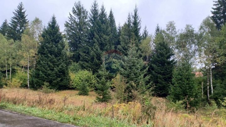 Zemljište na prodaju 5133 m² – Mrkopalj