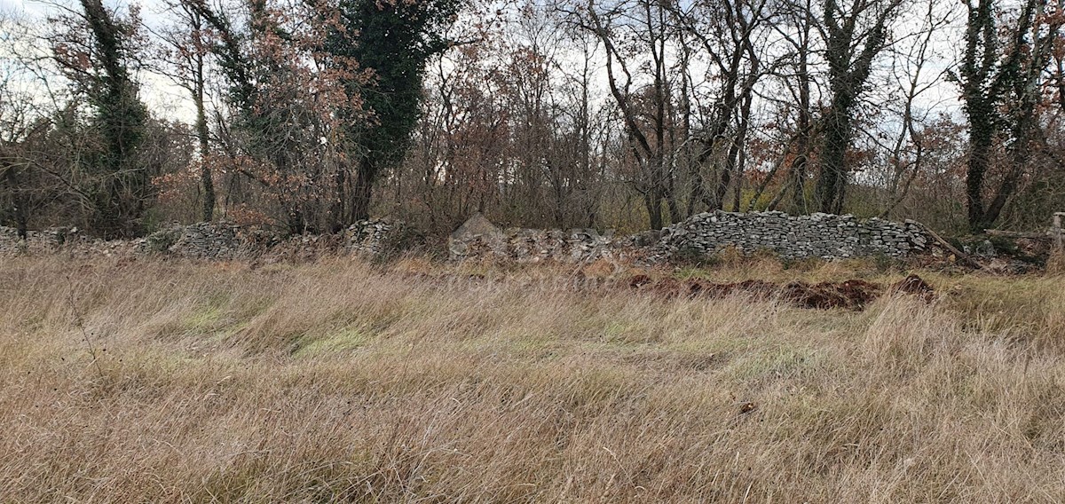 Zemljište Na prodaju - ISTARSKA  BALE 