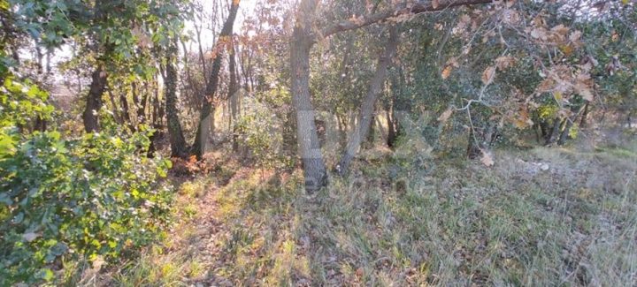 Działka Na sprzedaż - Istarska Marčana - foto 5/7