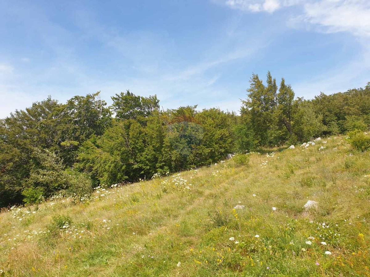 Land For sale - PRIMORSKO-GORANSKA  BAKAR 