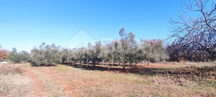 Grundstück zu verkaufen 14683 m² – Peruški