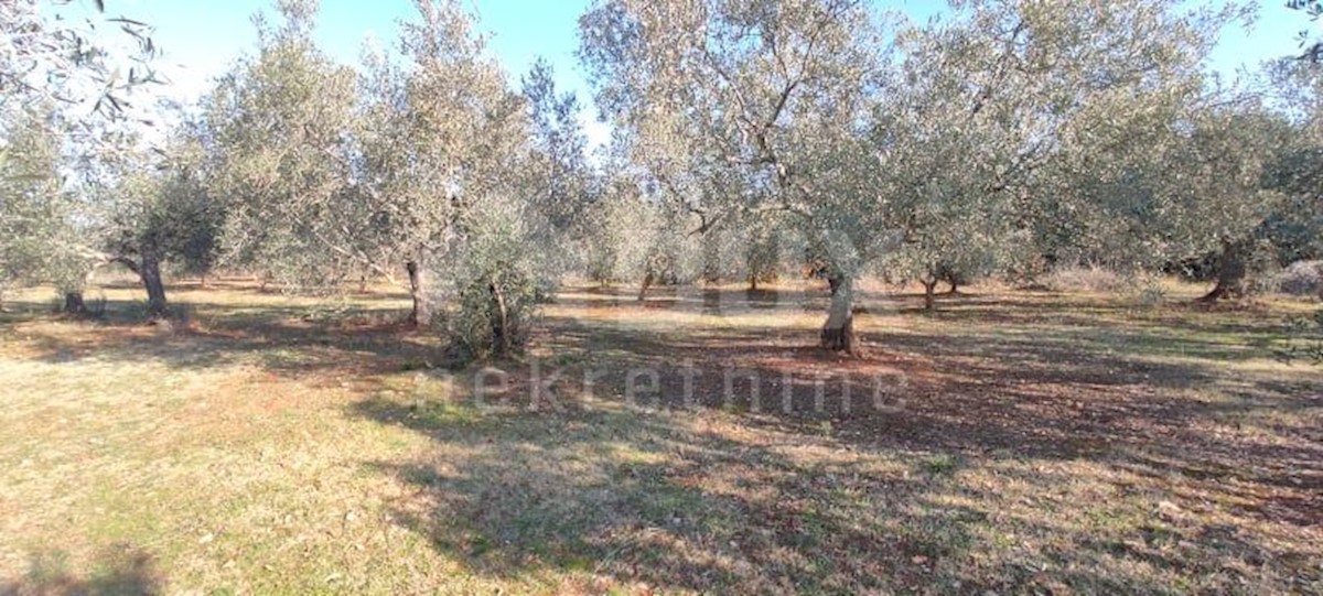 Terreno In vendita - ISTARSKA  MARČANA 