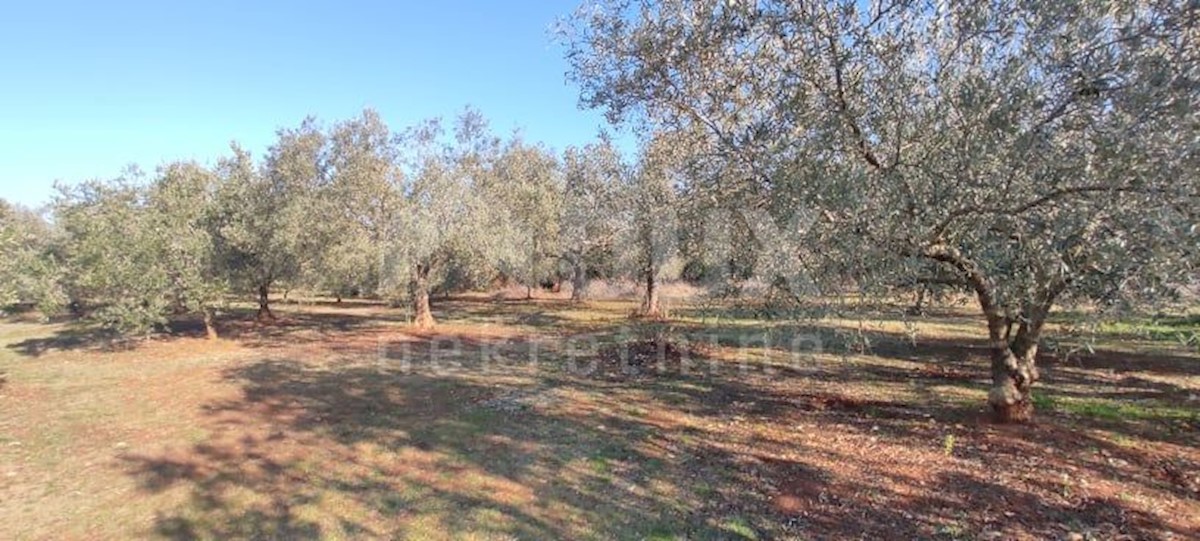 Terreno In vendita - ISTARSKA  MARČANA 