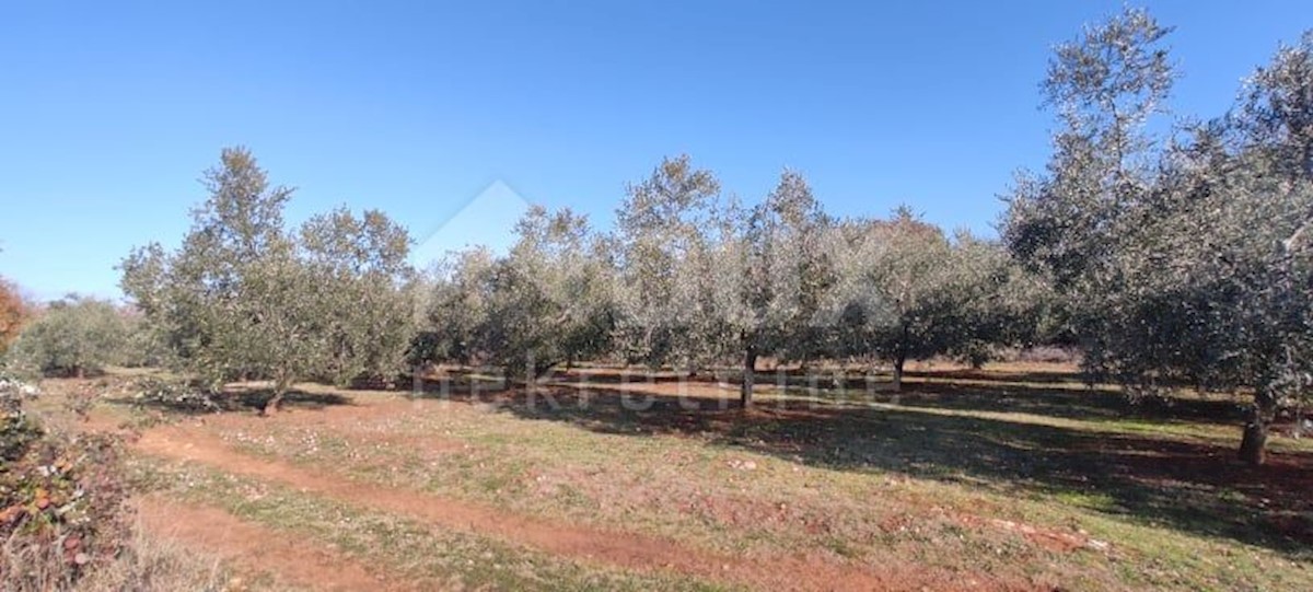 Terreno In vendita - ISTARSKA  MARČANA 