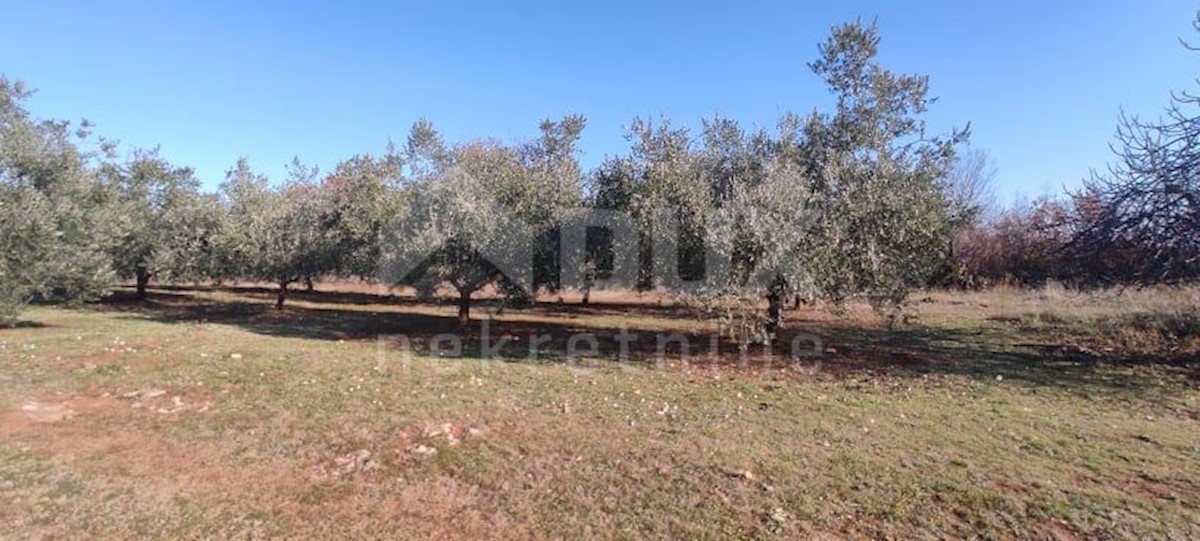 Terreno In vendita - ISTARSKA  MARČANA 