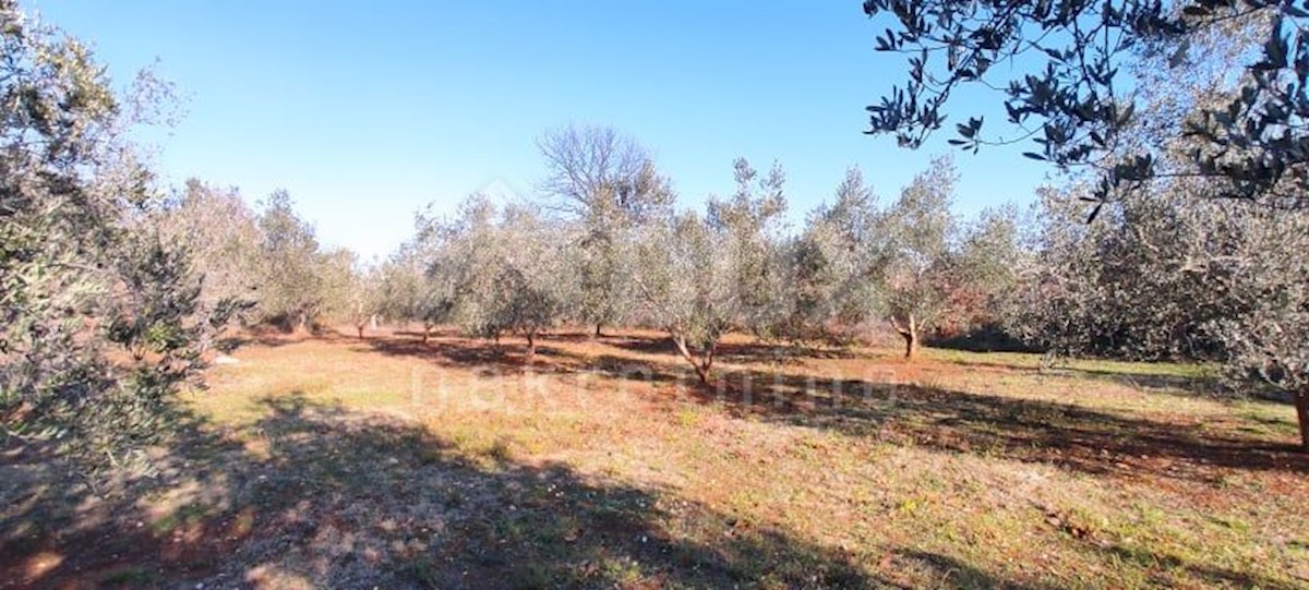 Terreno In vendita - ISTARSKA  MARČANA 