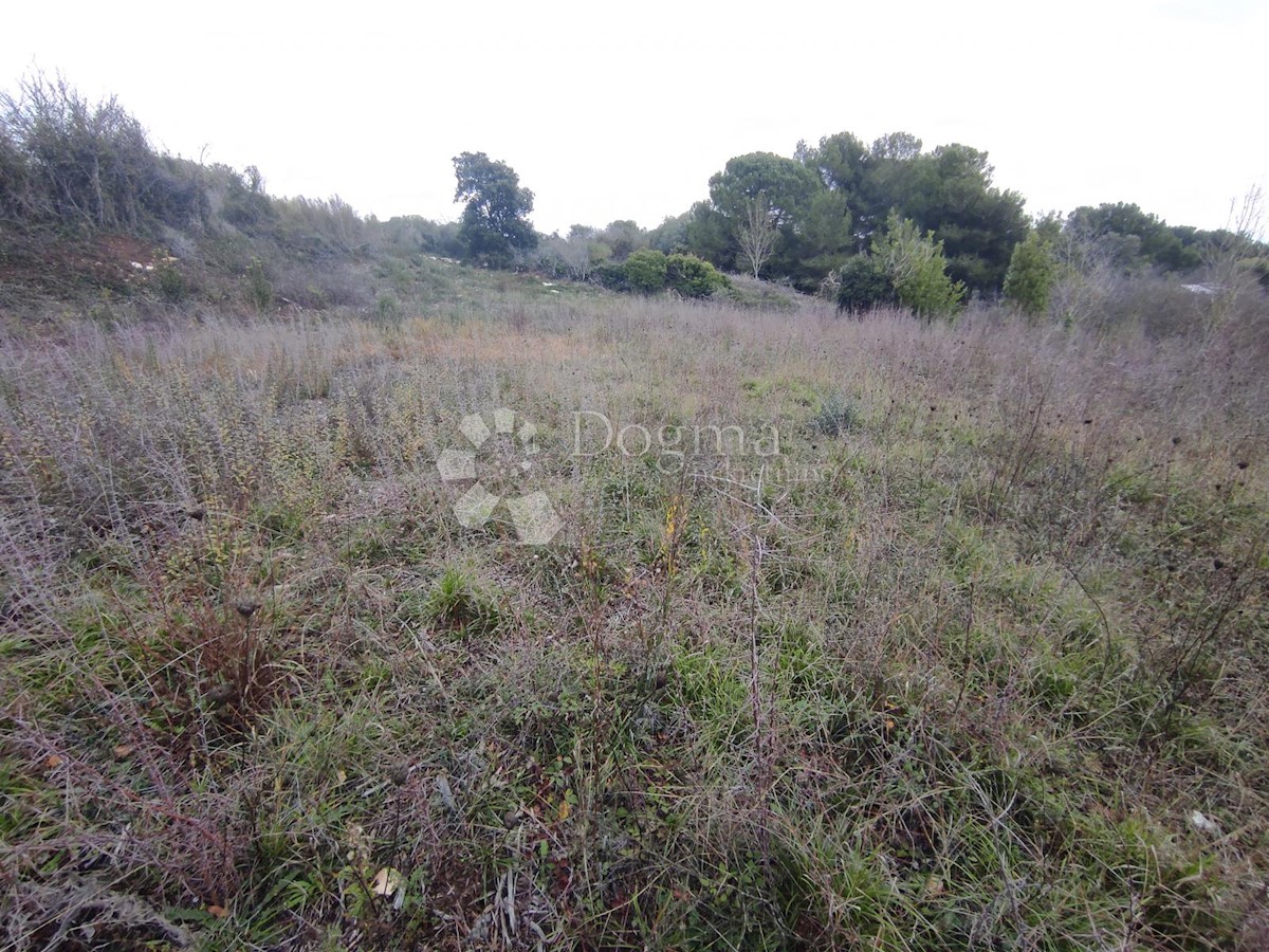 Terreno In vendita - ISTARSKA  MEDULIN 