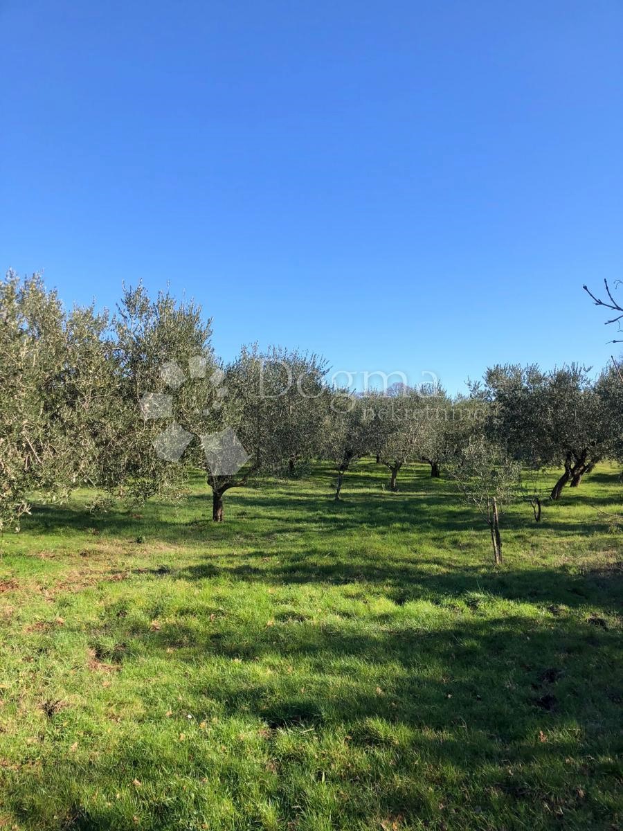 Terrain À vendre - Istarska Medulin - foto 1/1