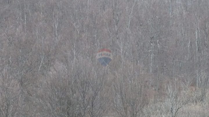 Parcela Naprodaj - Primorsko-goranska Mrkopalj - foto 4/5
