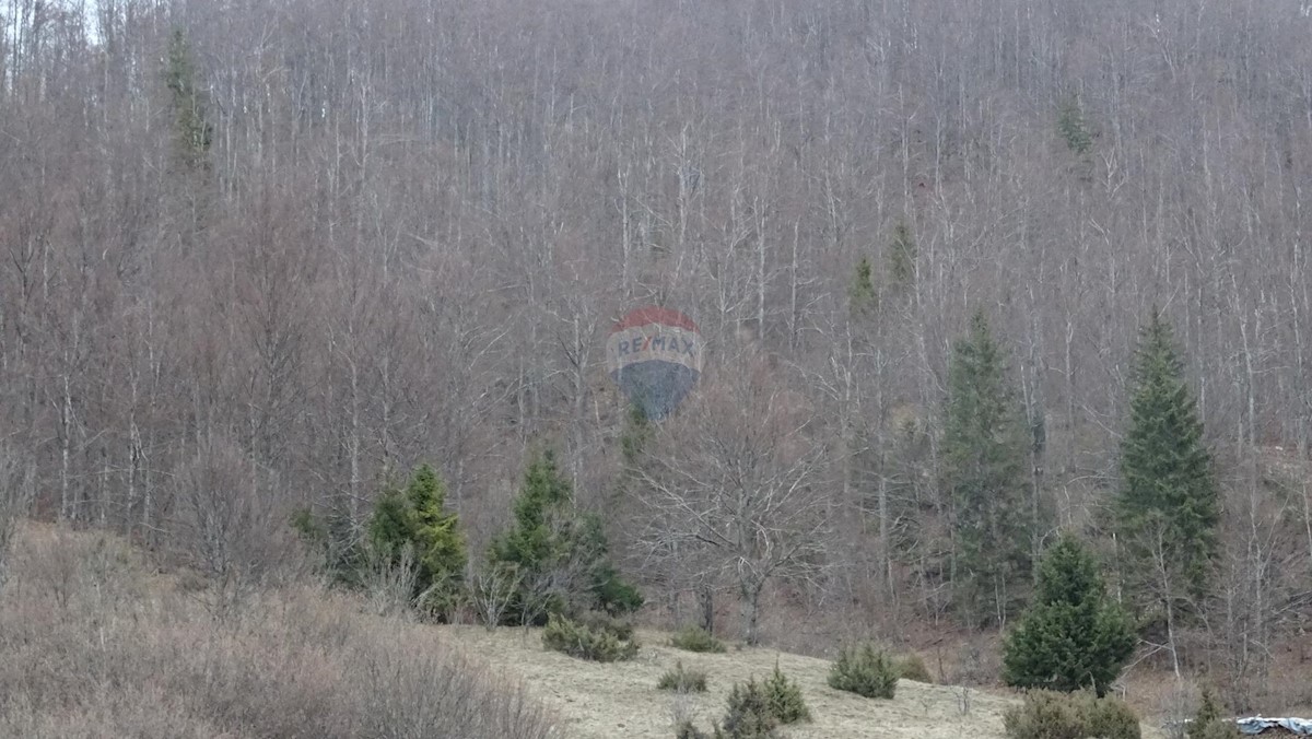 Terreno In vendita - PRIMORSKO-GORANSKA  MRKOPALJ 