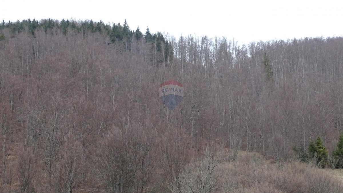 Parcela Naprodaj - PRIMORSKO-GORANSKA  Mrkopalj
