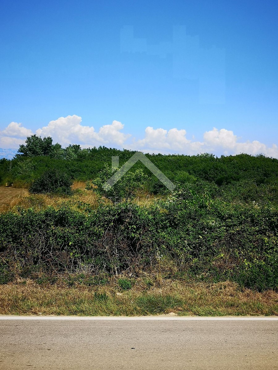 Terreno In vendita - ZADARSKA  NIN 