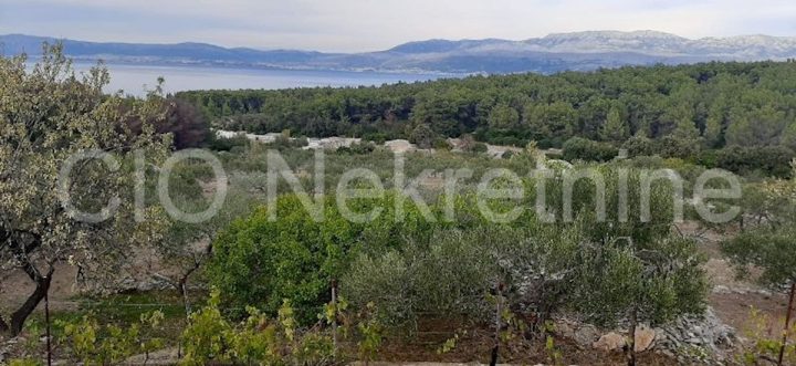 Pozemek na prodej 11000 m² – Supetar