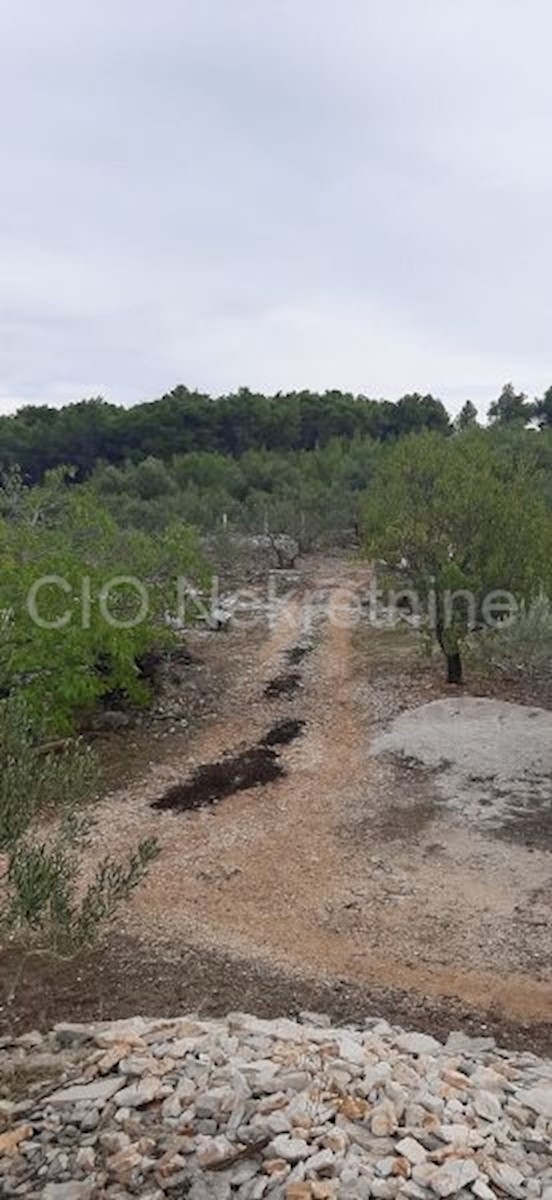 Land For sale - SPLITSKO-DALMATINSKA  BRAČ 