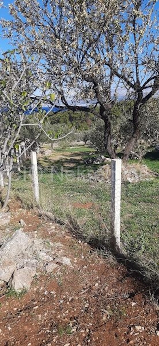 Land For sale - SPLITSKO-DALMATINSKA  BRAČ 