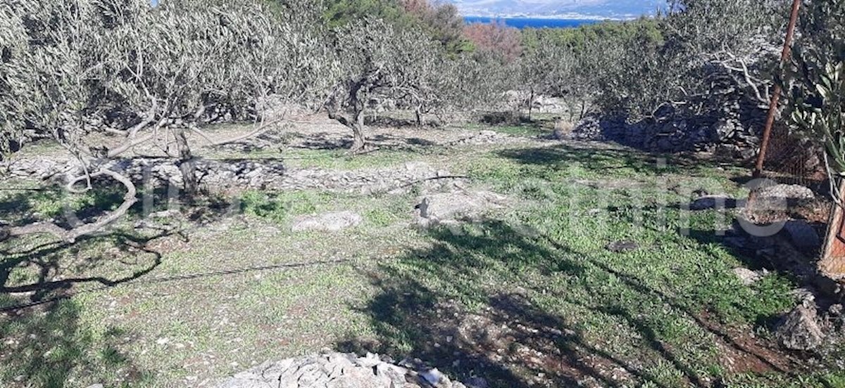 Land For sale - SPLITSKO-DALMATINSKA  BRAČ 