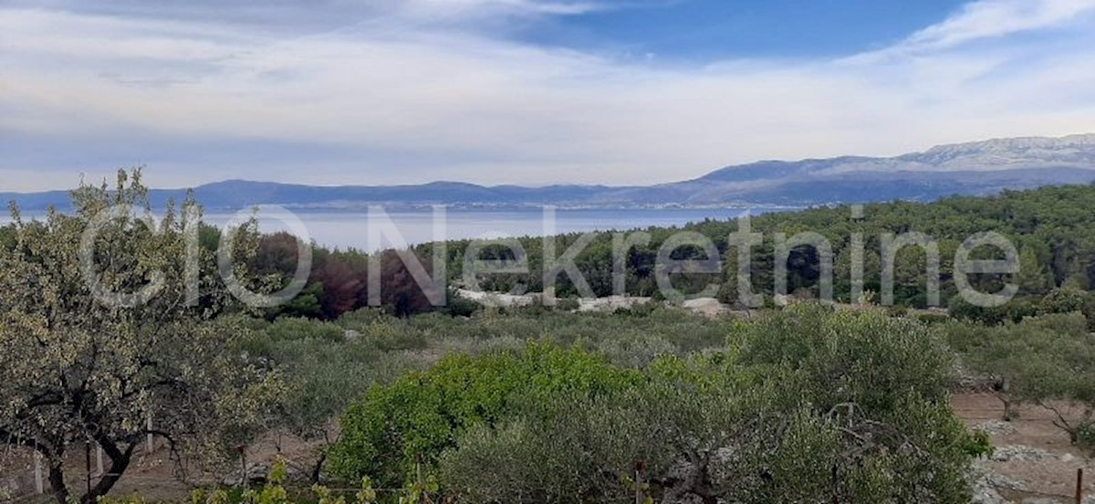 Land For sale - SPLITSKO-DALMATINSKA  BRAČ 