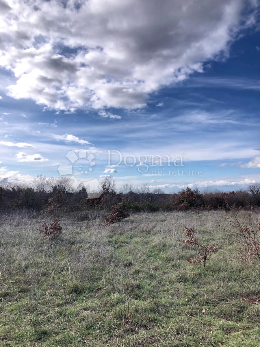 Land For sale - ISTARSKA  LIŽNJAN 